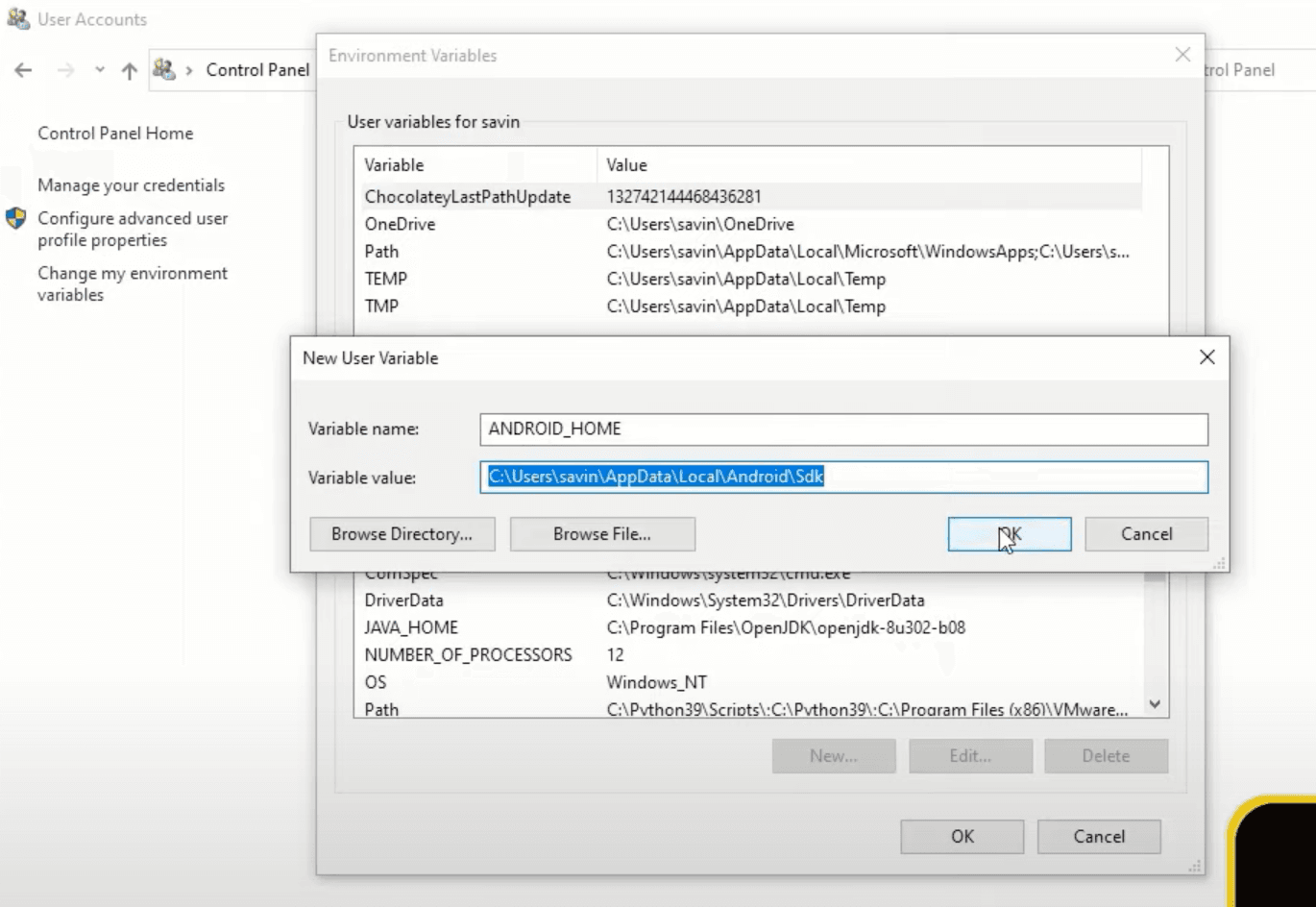 New Environment Variable Values