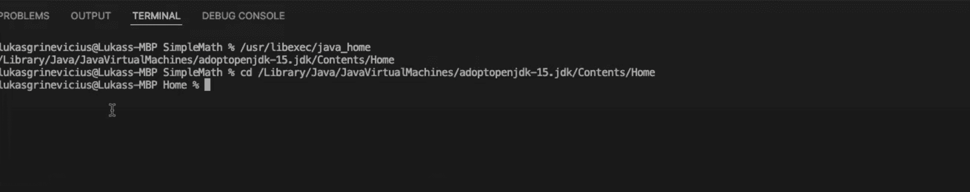 Java JDK Path