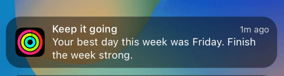 Notification Item