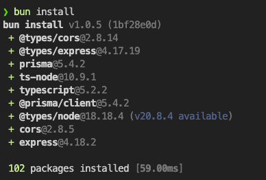 10._backend_bun_install.png